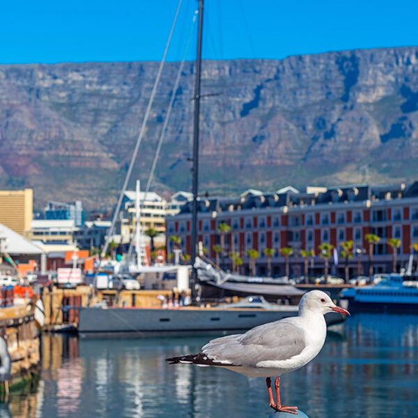 Cape Town