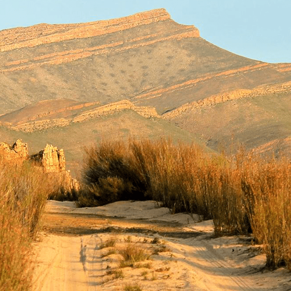 Cederberg & West Coast