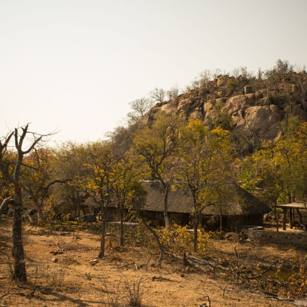 Chacma Bush Camp - Image 14