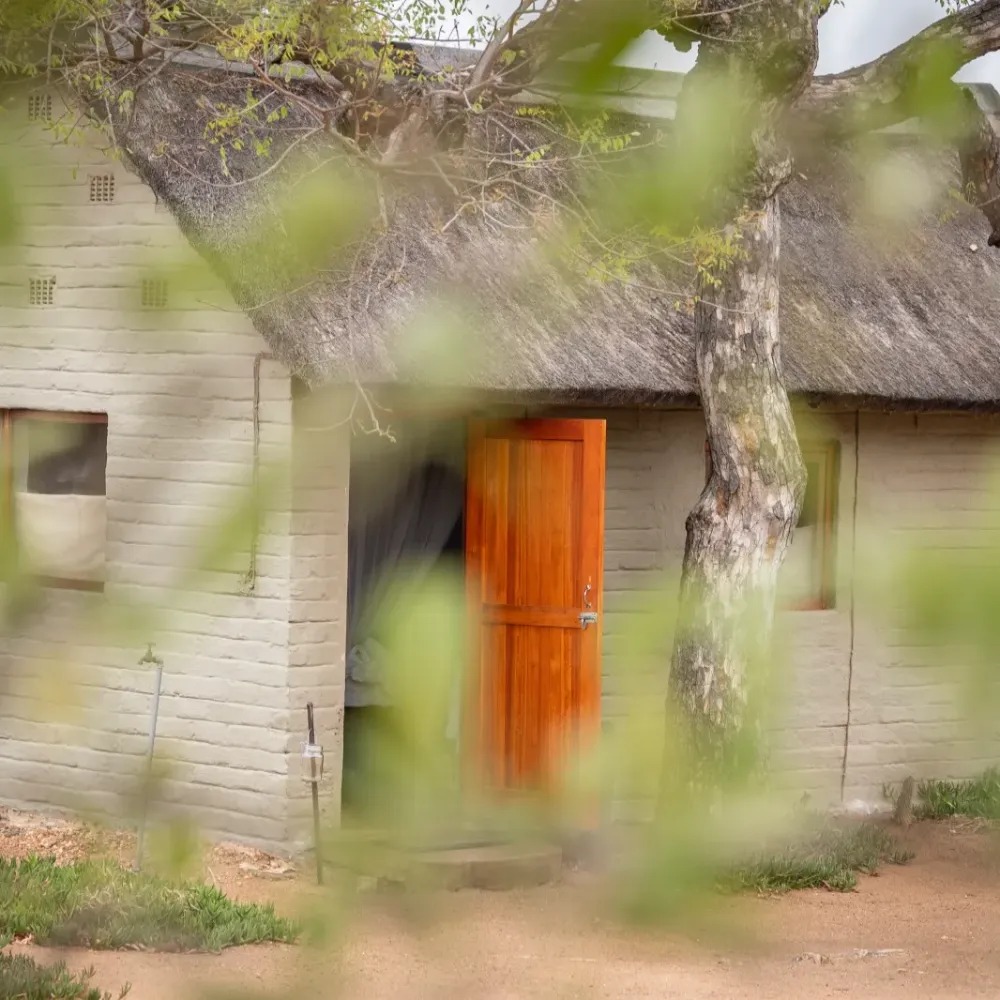 Africa on Foot - Image 6