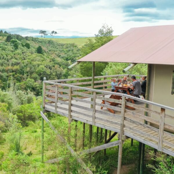 AfriCamps At Ingwe - Image 6
