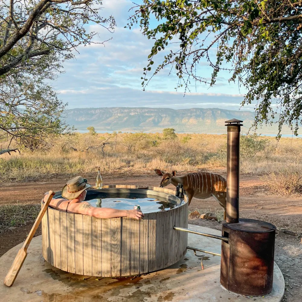 AfriCamps at White Elephant Safaris - Image 3