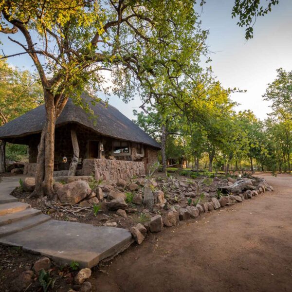 Chacma Bush Camp - Image 6