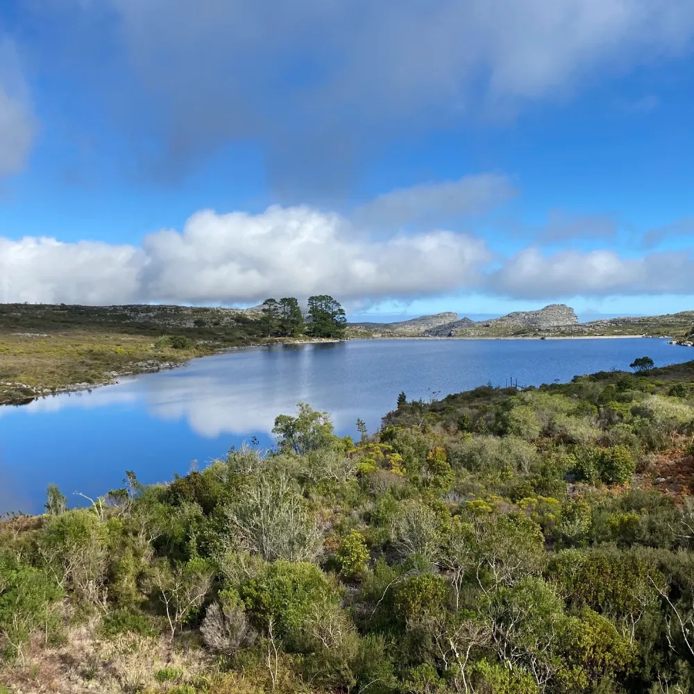 Guided Hikes - Image 12