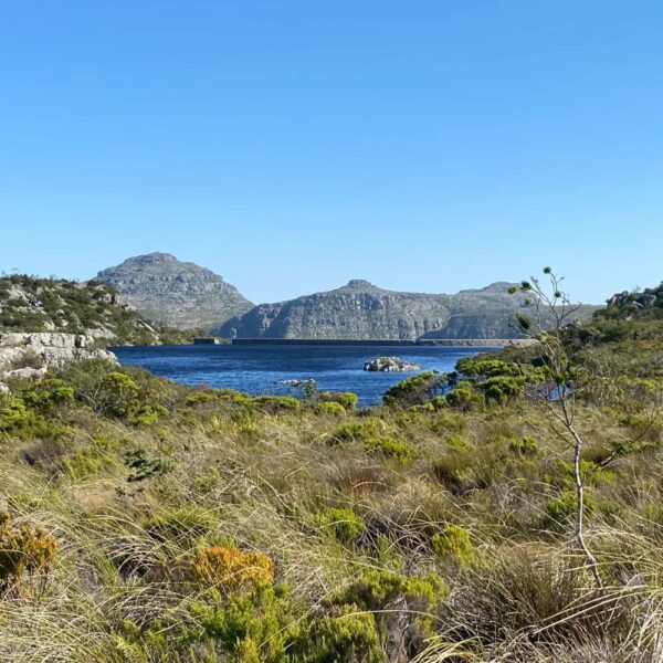 Guided Hikes - Image 9