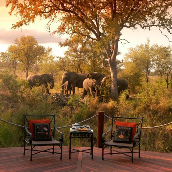 Hoyo Hoyo Safari Lodge - Image 11