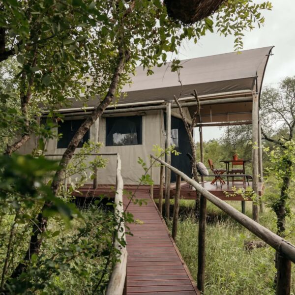 Isambane Camp - Image 6