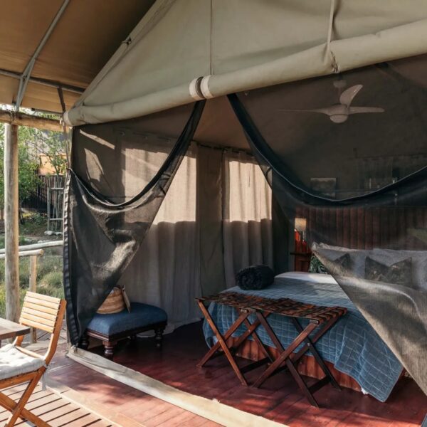 Isambane Camp - Image 4