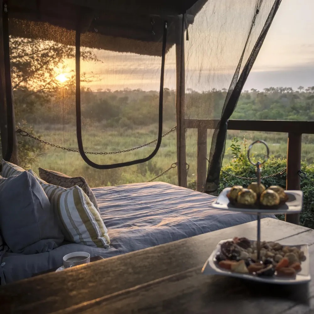 Jock Safari Lodge - Image 7