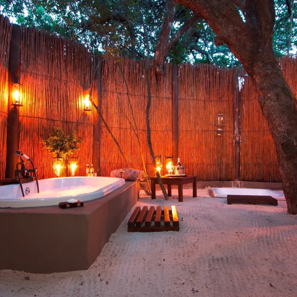 Kosi Forest Lodge - Image 7