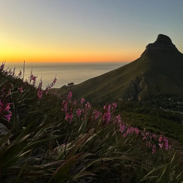 Guided Hikes - Image 8
