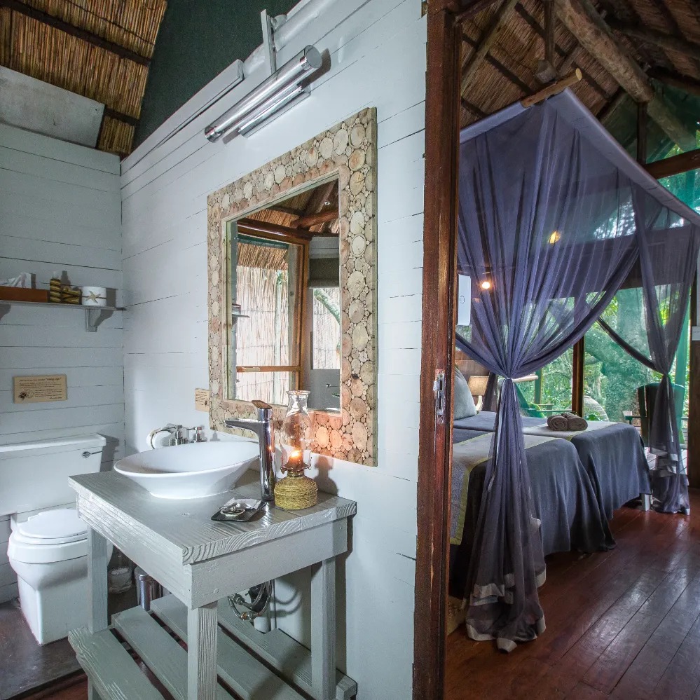 Kosi Forest Lodge - Image 5