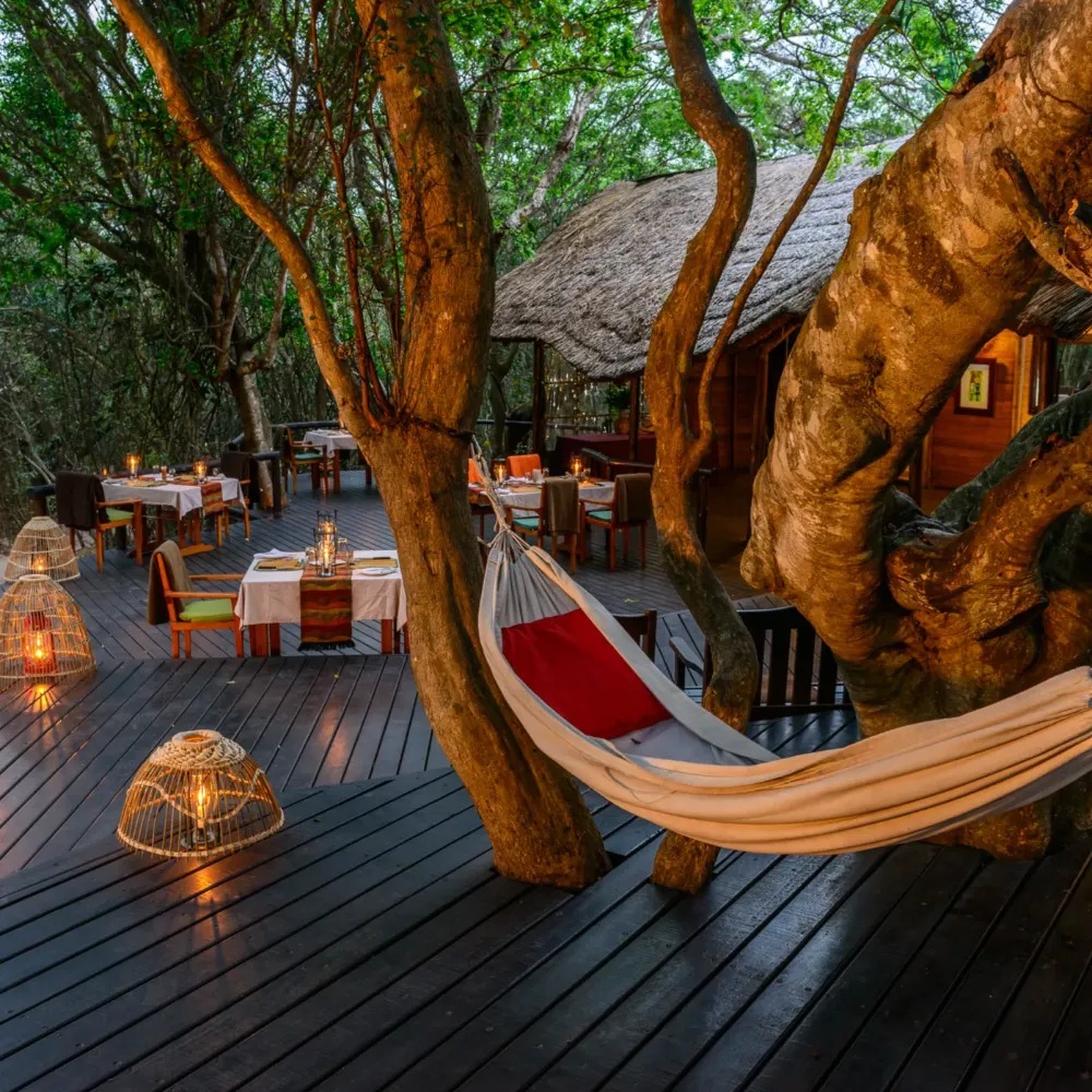 Kosi Forest Lodge