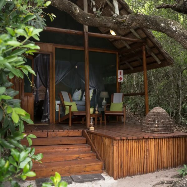 Kosi Forest Lodge - Image 6