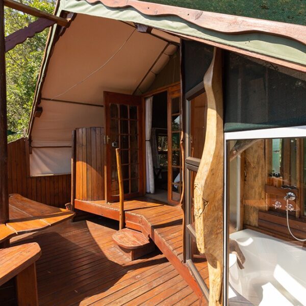 Teniqua Treetops - Image 3