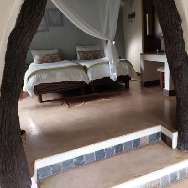 Moholoholo Forest Camp - Image 5