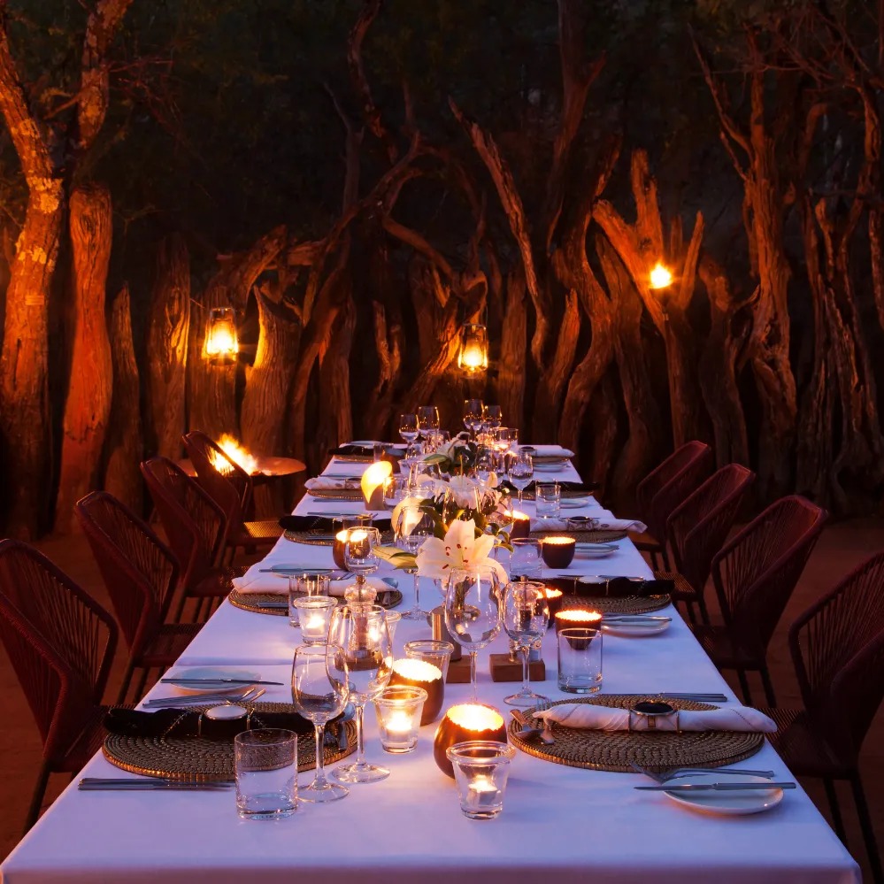 Molori Safari Lodge - Image 22