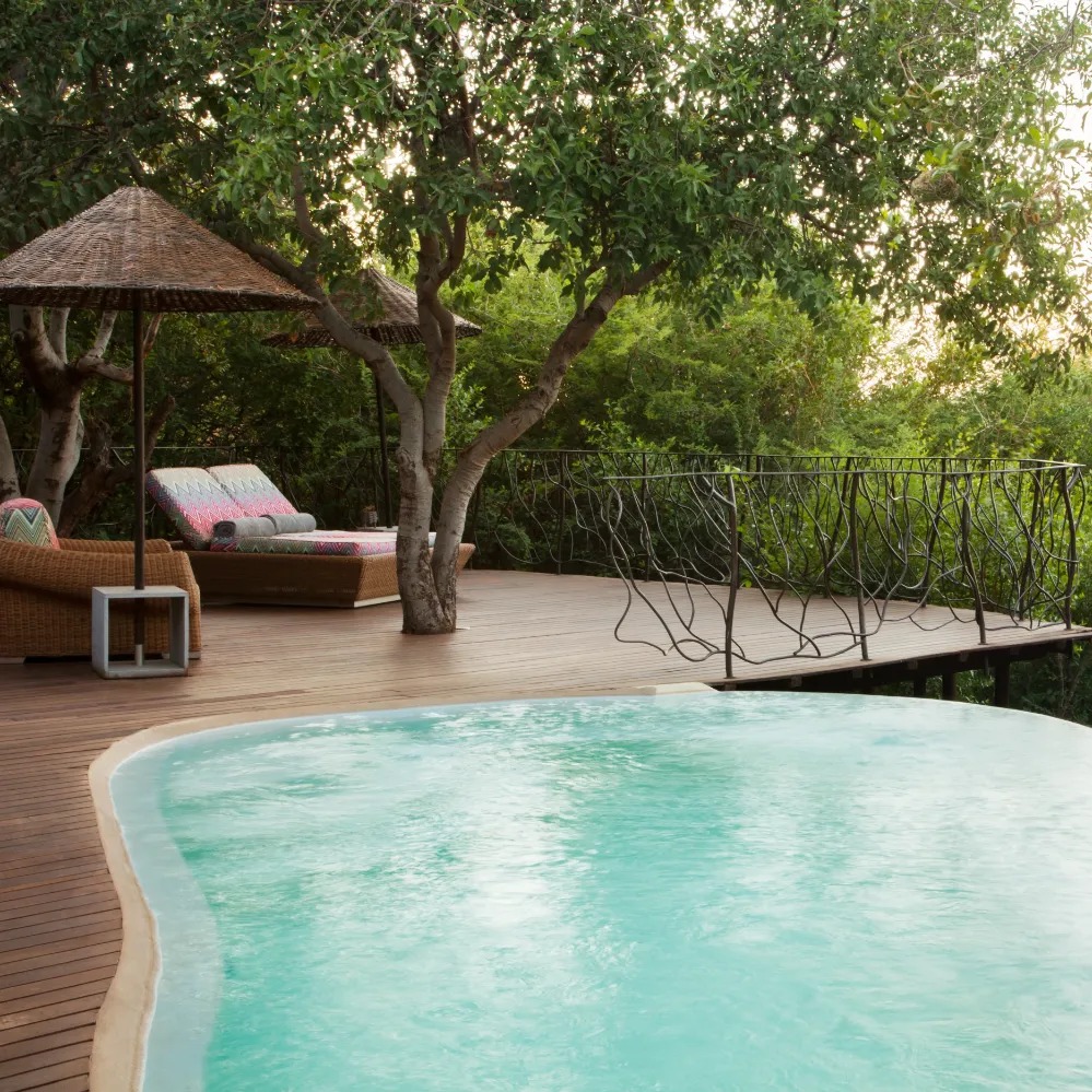Molori Safari Lodge - Image 21