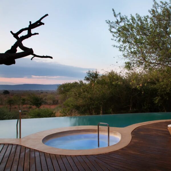 Molori Safari Lodge - Image 15