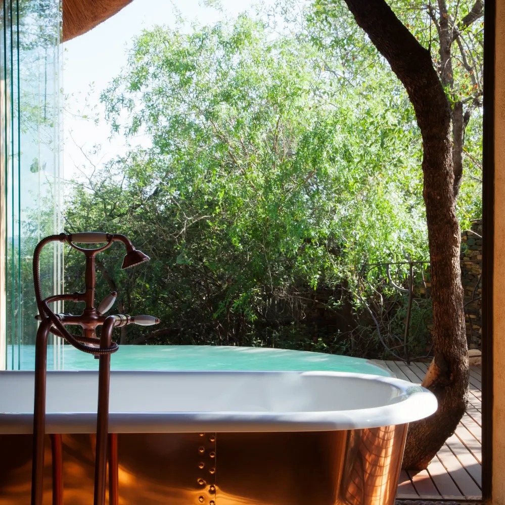 Molori Safari Lodge - Image 12