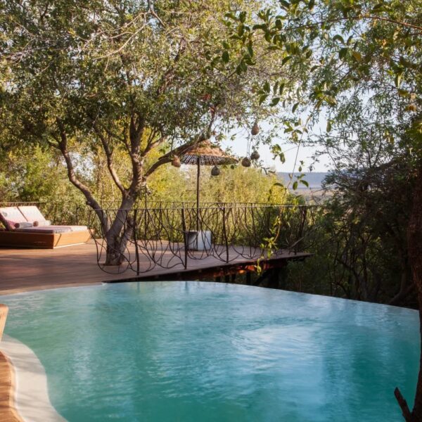 Molori Safari Lodge - Image 10