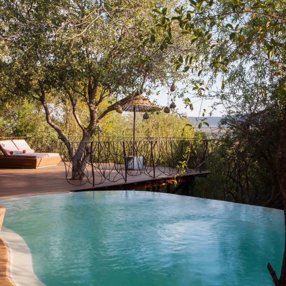 Molori Safari Lodge - Image 10