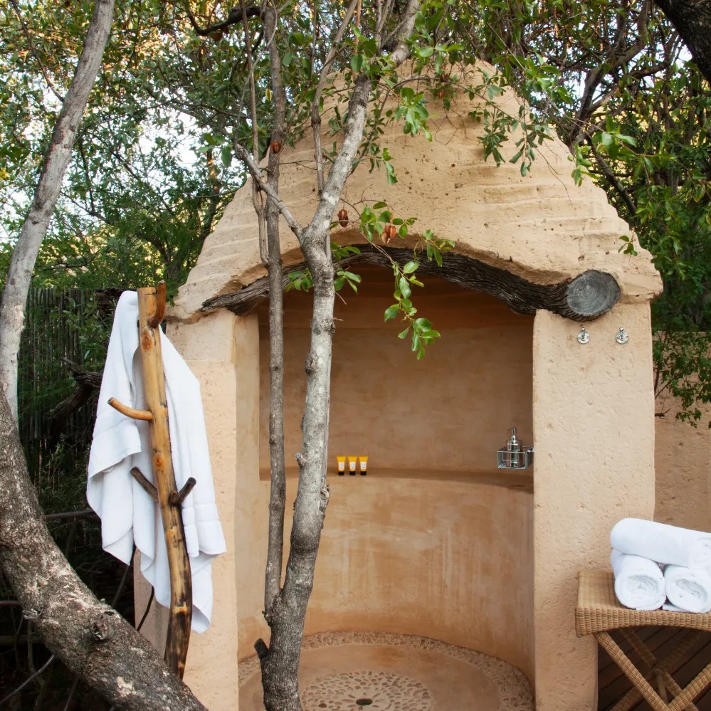 Molori Safari Lodge - Image 9