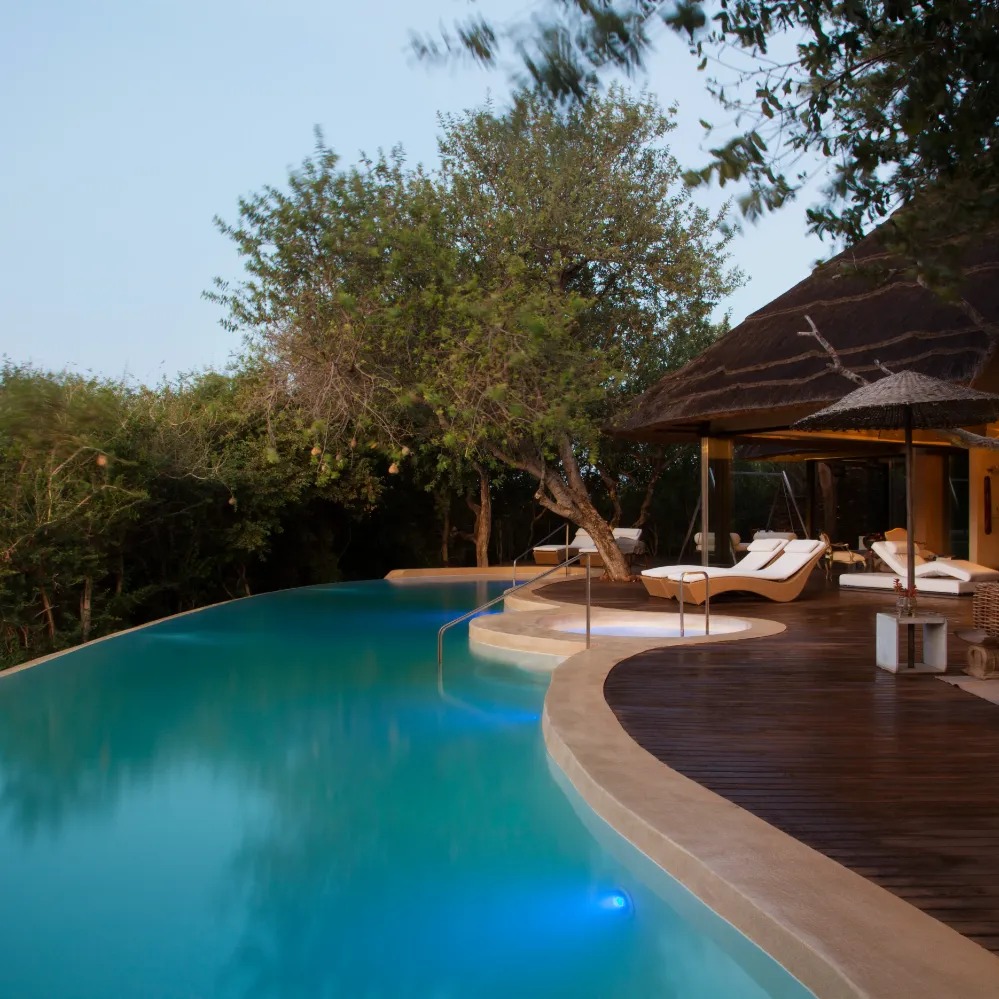 Molori Safari Lodge - Image 7