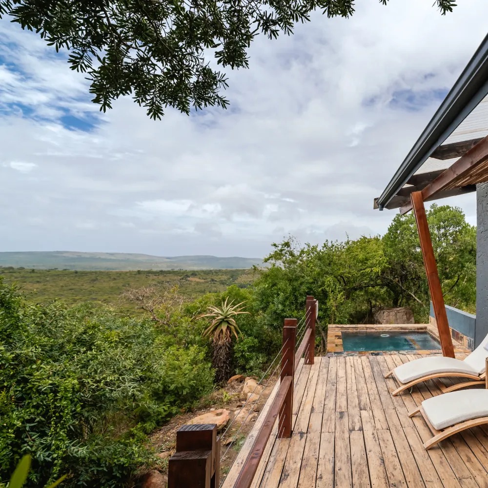 Rhino Ridge Safari Lodge - Image 2