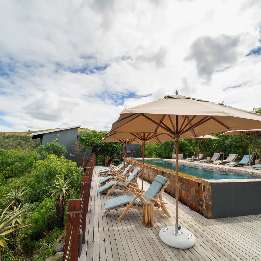 Rhino Ridge Safari Lodge - Image 9