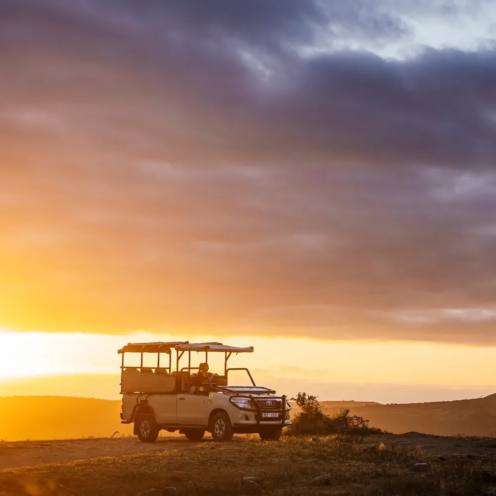 Rhino Ridge Safari Lodge - Image 6
