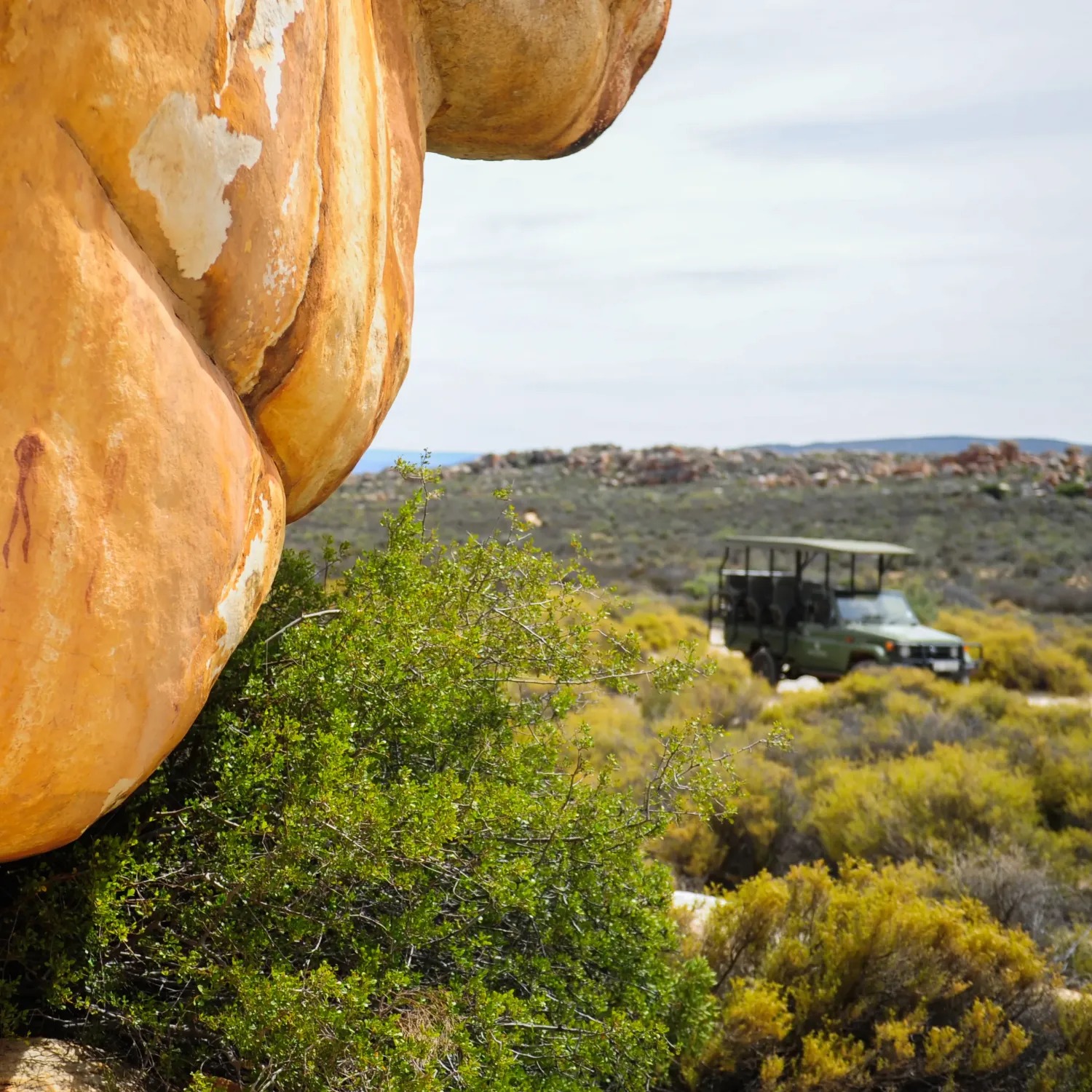 Kagga Kamma - Image 4