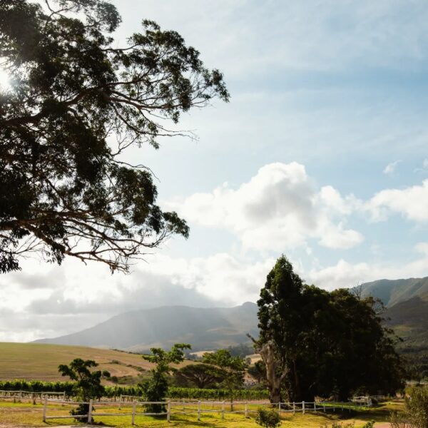 Stanford Valley Country Lodge - Image 10