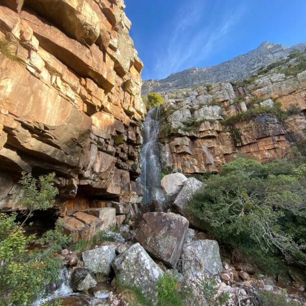 Guided Hikes - Image 4