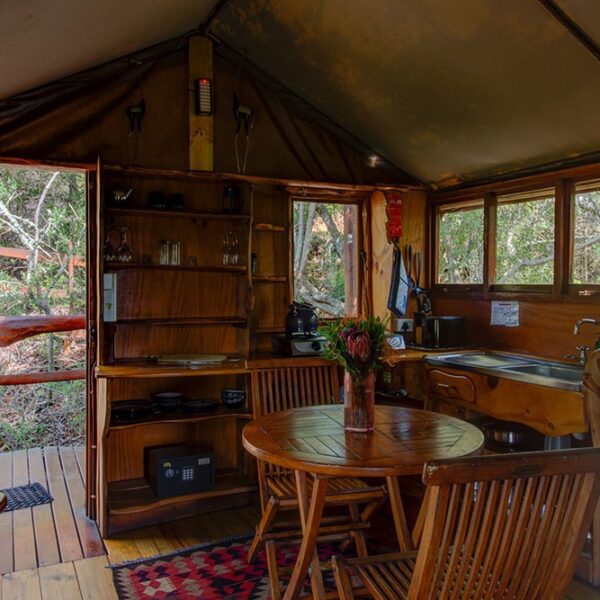 Teniqua Treetops - Image 6