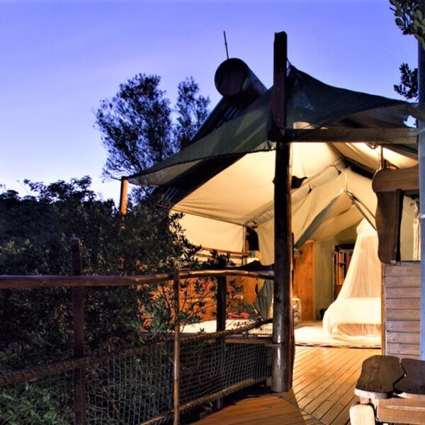 Teniqua Treetops - Image 7