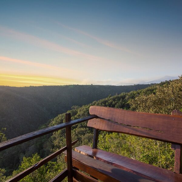 Teniqua Treetops - Image 10
