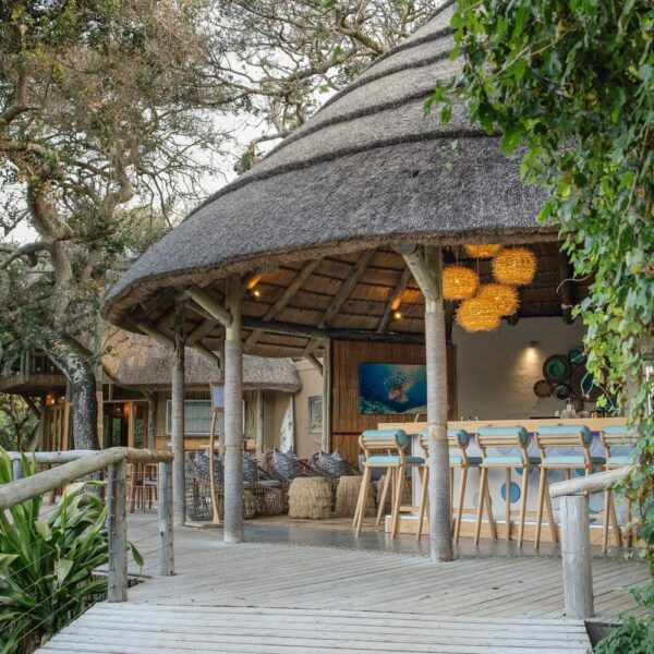 Thonga Beach Lodge - Image 3