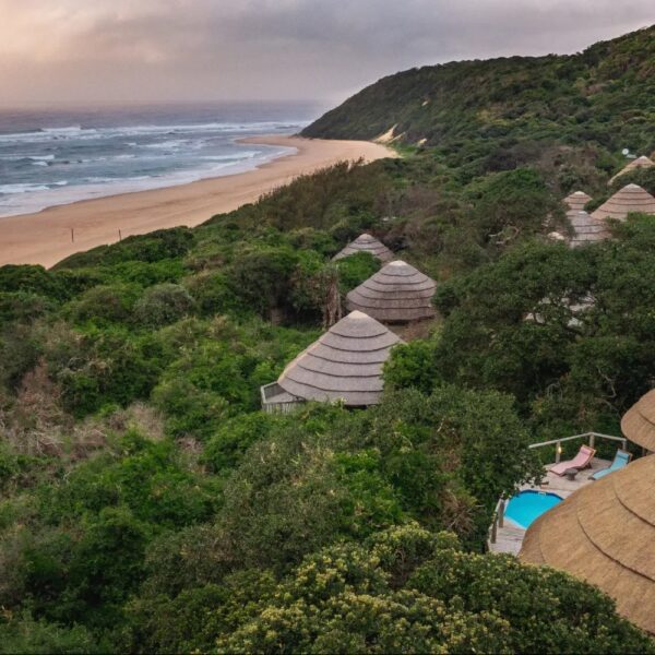 Thonga Beach Lodge - Image 8