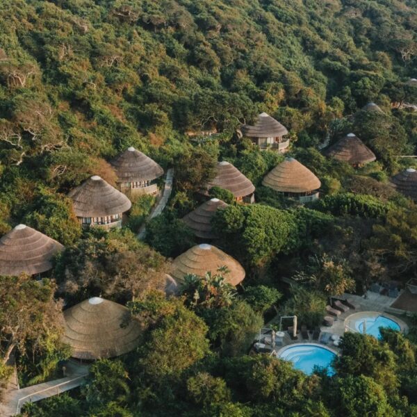 Thonga Beach Lodge - Image 17