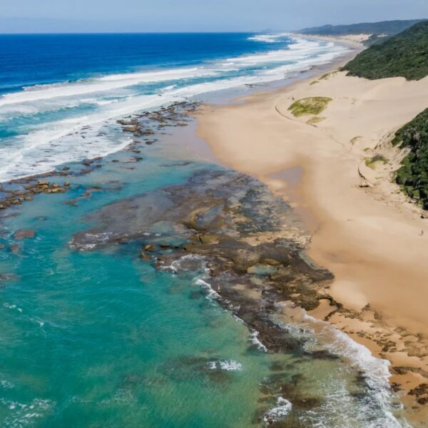 Thonga Beach Lodge - Image 12