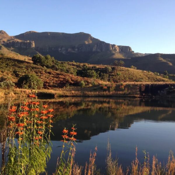 The Cavern Resort & Spa - Image 24
