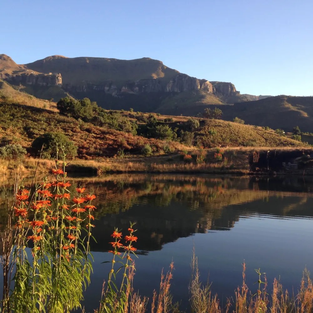 The Cavern Resort & Spa - Image 24