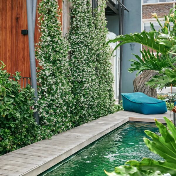Harpers House - Image 7
