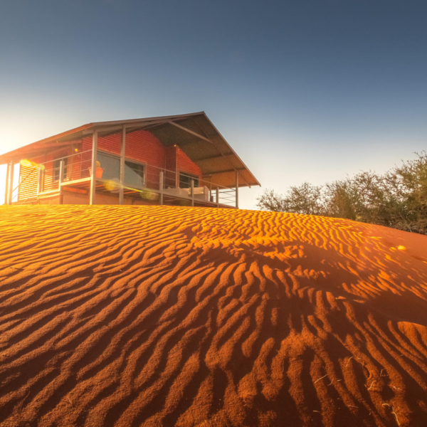 Bagatelle Kalahari Game Ranch