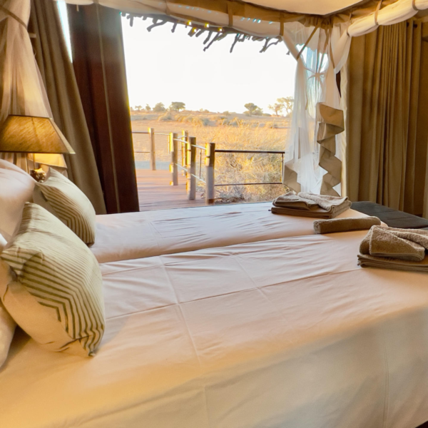 Kalahari Red Dunes Lodge - Image 3