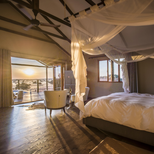 Bagatelle Kalahari Game Ranch - Image 3