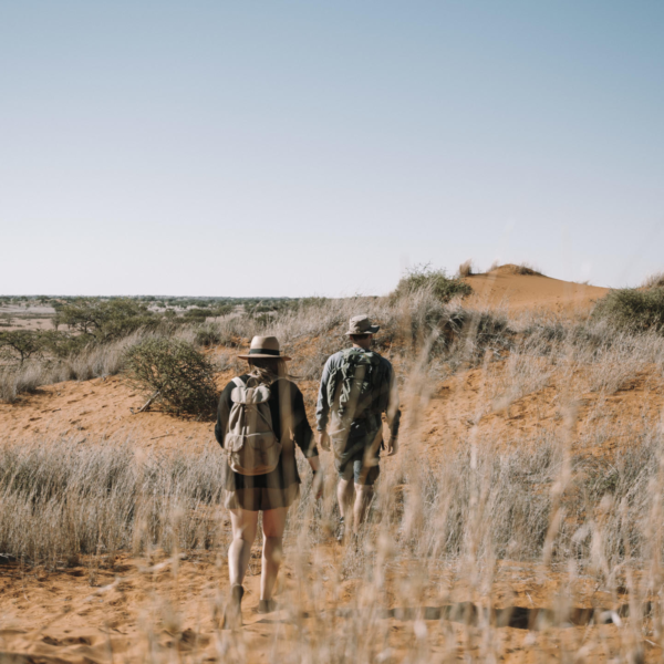 Kalahari Red Dunes Lodge - Image 4