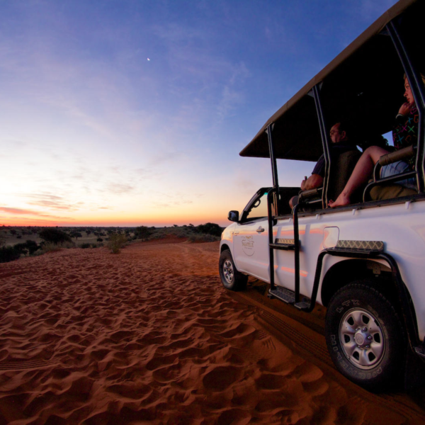 Bagatelle Kalahari Game Ranch - Image 5
