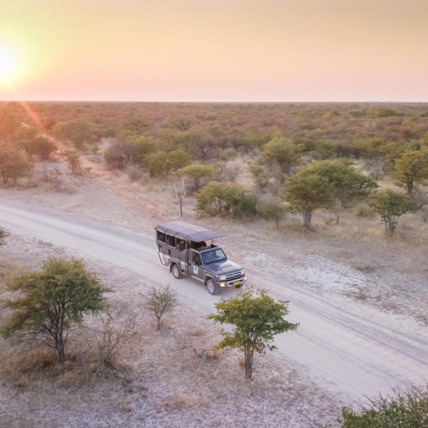 Etosha Oberland Lodge - Image 6